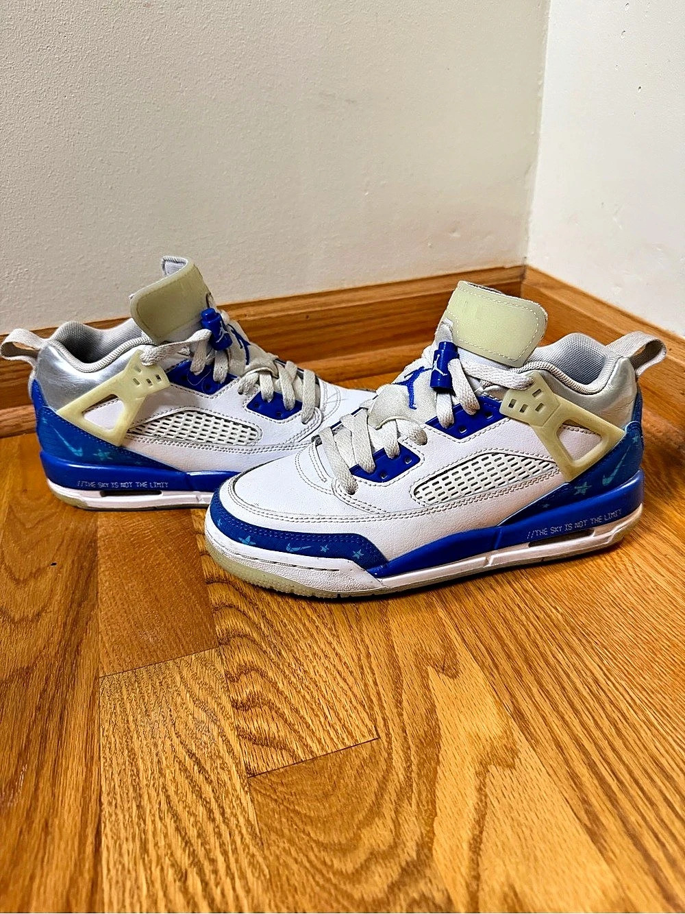 Jordan Spizike Low "Sneaker School / The Sky Is Not The Limit" Size 5Y